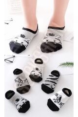 Çocuk Zebra Desenli Renkli Patik Çorap Seti 5'li Paket