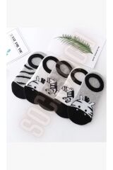 Çocuk Zebra Desenli Renkli Patik Çorap Seti 5'li Paket