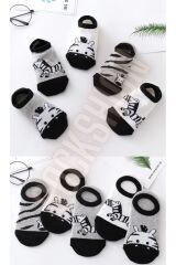 Çocuk Zebra Desenli Renkli Patik Çorap Seti 5'li Paket